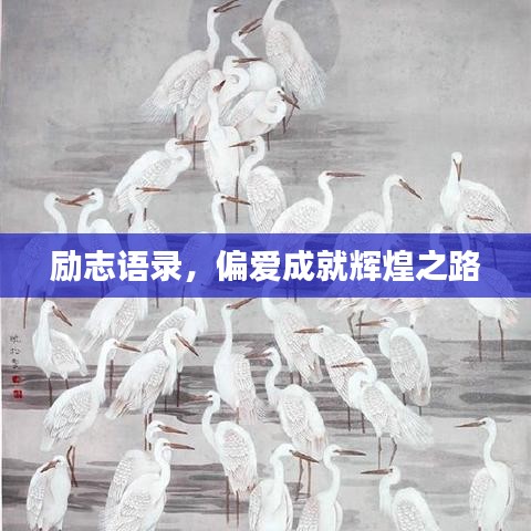 勵志語錄，偏愛成就輝煌之路