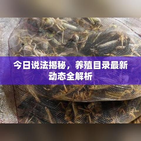 今日說(shuō)法揭秘，養(yǎng)殖目錄最新動(dòng)態(tài)全解析