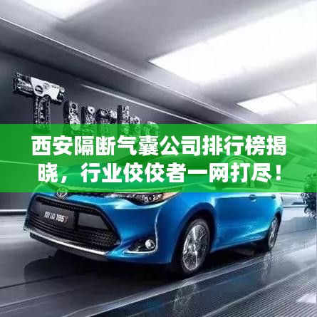 西安隔斷氣囊公司排行榜揭曉，行業(yè)佼佼者一網(wǎng)打盡！
