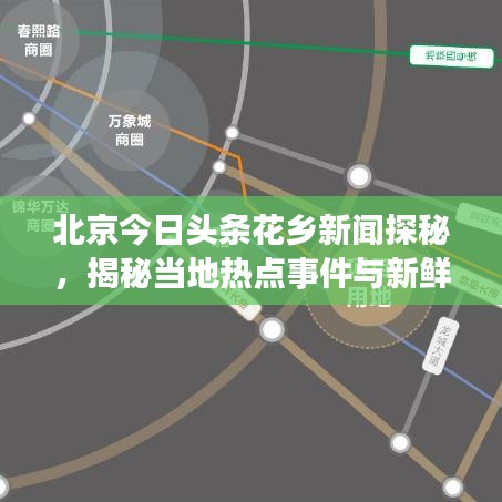 北京今日頭條花鄉(xiāng)新聞探秘，揭秘當(dāng)?shù)責(zé)狳c(diǎn)事件與新鮮資訊！