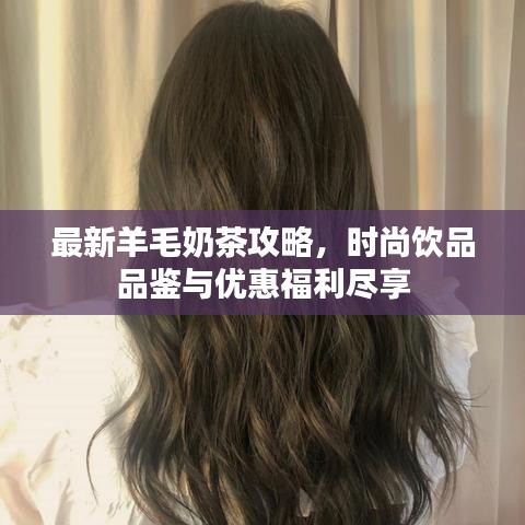 最新羊毛奶茶攻略，時尚飲品品鑒與優(yōu)惠福利盡享