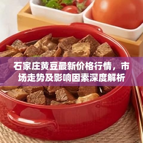 石家莊黃豆最新價格行情，市場走勢及影響因素深度解析