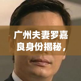 廣州夫妻羅嘉良身份揭秘，最新動(dòng)態(tài)與故事回顧