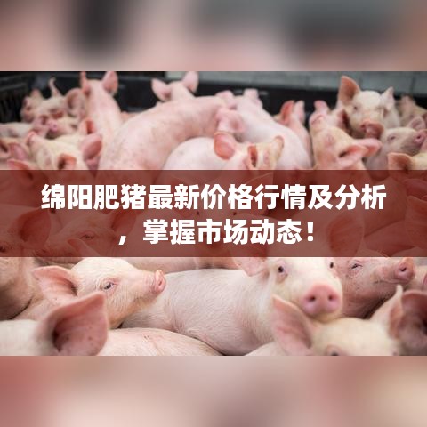綿陽肥豬最新價(jià)格行情及分析，掌握市場動(dòng)態(tài)！
