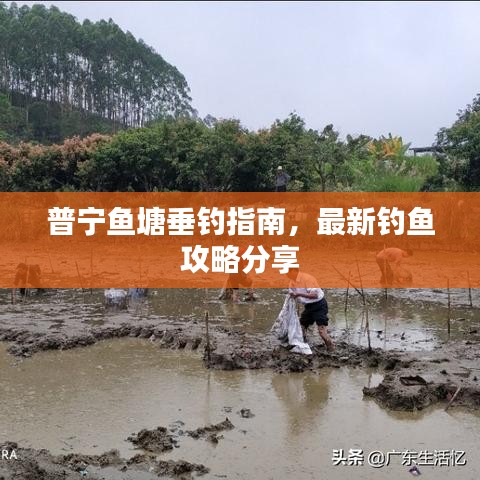 普寧魚(yú)塘垂釣指南，最新釣魚(yú)攻略分享