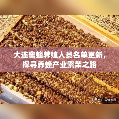 大連蜜蜂養(yǎng)殖人員名單更新，探尋養(yǎng)蜂產(chǎn)業(yè)繁榮之路