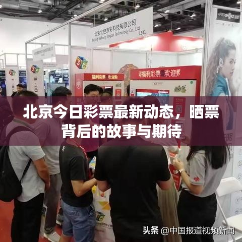 北京今日彩票最新動態(tài)，曬票背后的故事與期待