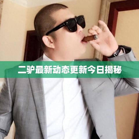 二驢最新動態(tài)更新今日揭秘
