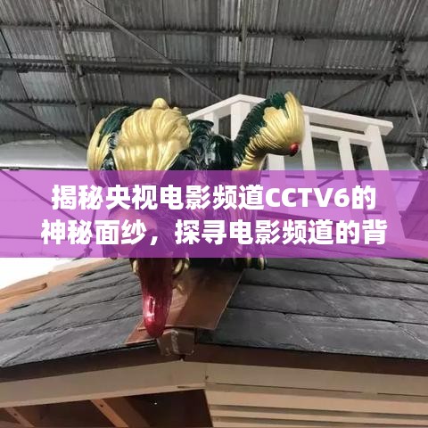 揭秘央視電影頻道CCTV6的神秘面紗，探尋電影頻道的背后故事