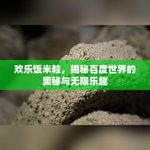 歡樂飯米粒，揭秘百度世界的奧秘與無限樂趣