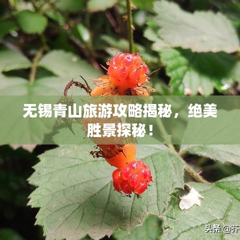 無錫青山旅游攻略揭秘，絕美勝景探秘！