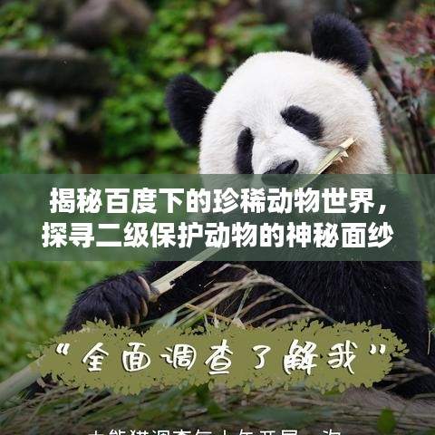 揭秘百度下的珍稀動物世界，探尋二級保護動物的神秘面紗