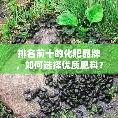 排名前十的化肥品牌，如何選擇優(yōu)質(zhì)肥料？選購(gòu)指南全解析！
