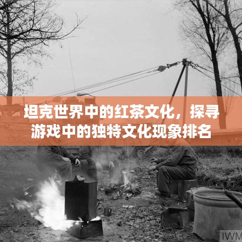 坦克世界中的紅茶文化，探尋游戲中的獨(dú)特文化現(xiàn)象排名