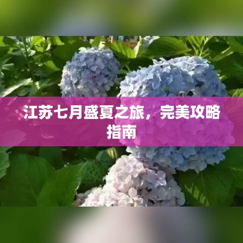 江蘇七月盛夏之旅，完美攻略指南