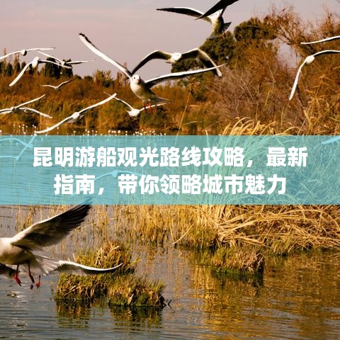昆明游船觀光路線攻略，最新指南，帶你領(lǐng)略城市魅力