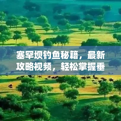 塞罕壩釣魚秘籍，最新攻略視頻，輕松掌握垂釣技巧，盡享自然垂釣樂趣！