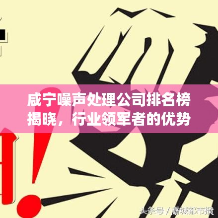 咸寧噪聲處理公司排名榜揭曉，行業(yè)領(lǐng)軍者的優(yōu)勢(shì)與特色深度解讀