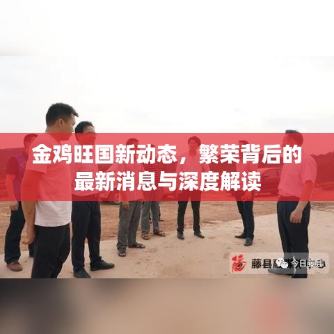 金雞旺國新動態(tài)，繁榮背后的最新消息與深度解讀