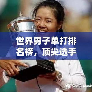 世界男子單打排名榜，頂尖選手的榮耀之路與奮斗軌跡