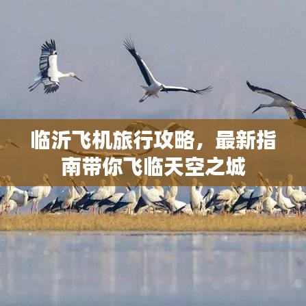 臨沂飛機旅行攻略，最新指南帶你飛臨天空之城