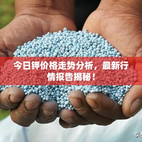 今日鉀價格走勢分析，最新行情報告揭秘！