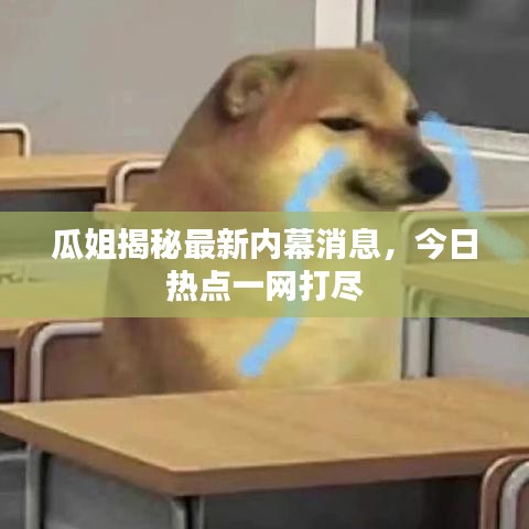 瓜姐揭秘最新內(nèi)幕消息，今日熱點(diǎn)一網(wǎng)打盡