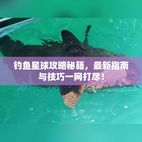 釣魚星球攻略秘籍，最新指南與技巧一網打盡！