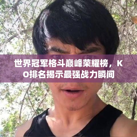 世界冠軍格斗巔峰榮耀榜，KO排名揭示最強戰(zhàn)力瞬間