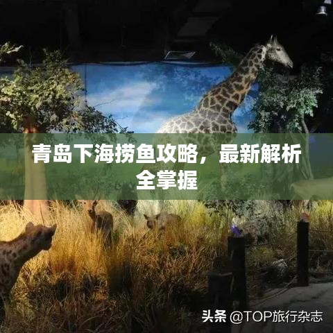 青島下海撈魚攻略，最新解析全掌握