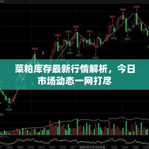 菜粕庫(kù)存最新行情解析，今日市場(chǎng)動(dòng)態(tài)一網(wǎng)打盡
