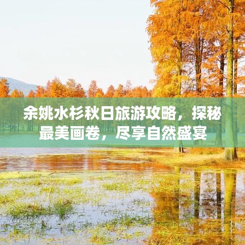余姚水杉秋日旅游攻略，探秘最美畫卷，盡享自然盛宴