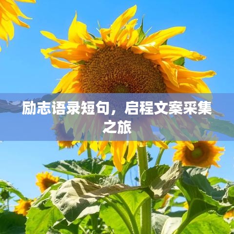 勵志語錄短句，啟程文案采集之旅