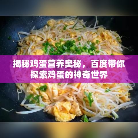 揭秘雞蛋營(yíng)養(yǎng)奧秘，百度帶你探索雞蛋的神奇世界