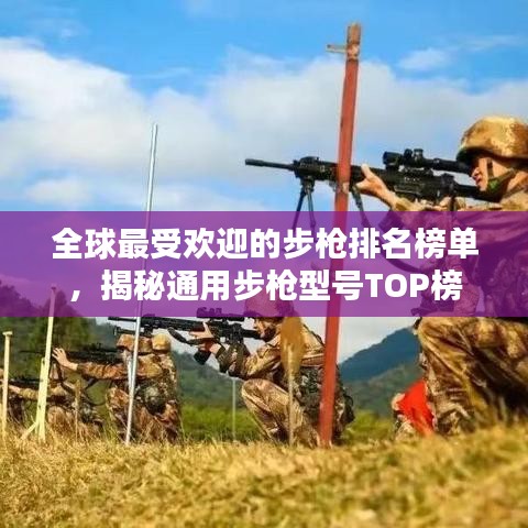 全球最受歡迎的步槍排名榜單，揭秘通用步槍型號(hào)TOP榜