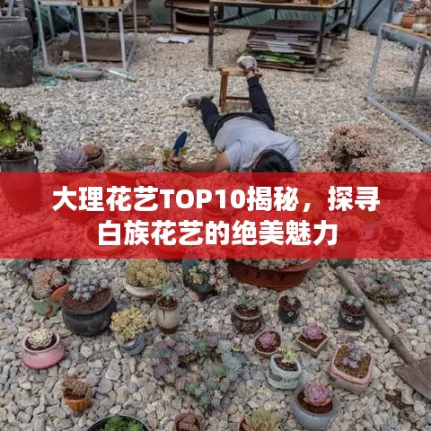 大理花藝TOP10揭秘，探尋白族花藝的絕美魅力