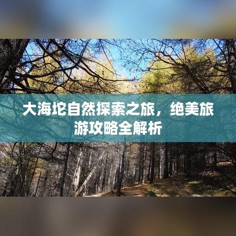 大海坨自然探索之旅，絕美旅游攻略全解析