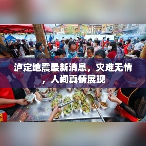 瀘定地震最新消息，災難無情，人間真情展現(xiàn)
