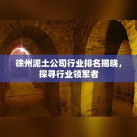 徐州泥土公司行業(yè)排名揭曉，探尋行業(yè)領軍者