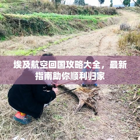 埃及航空回國(guó)攻略大全，最新指南助你順利歸家