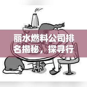 麗水燃料公司排名揭秘，探尋行業(yè)領(lǐng)軍者