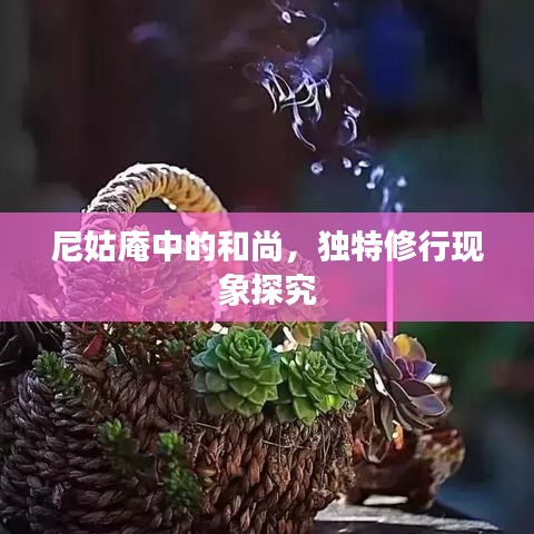 尼姑庵中的和尚，獨特修行現(xiàn)象探究