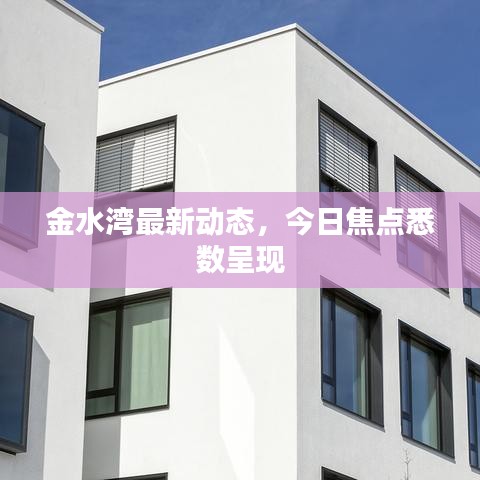 金水灣最新動(dòng)態(tài)，今日焦點(diǎn)悉數(shù)呈現(xiàn)
