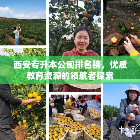 西安專升本公司排名榜，優(yōu)質(zhì)教育資源的領(lǐng)航者探索