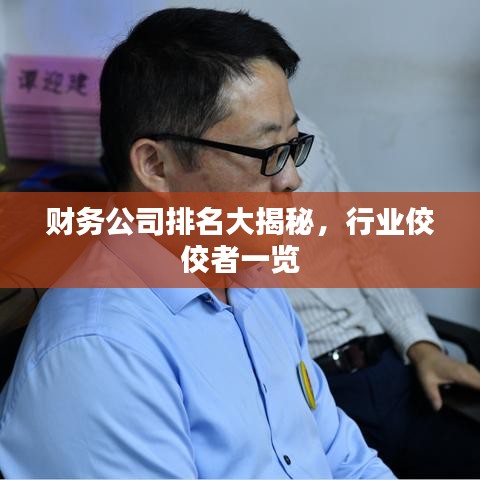 財(cái)務(wù)公司排名大揭秘，行業(yè)佼佼者一覽