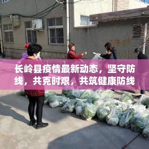 長嶺縣疫情最新動態(tài)，堅(jiān)守防線，共克時艱，共筑健康防線