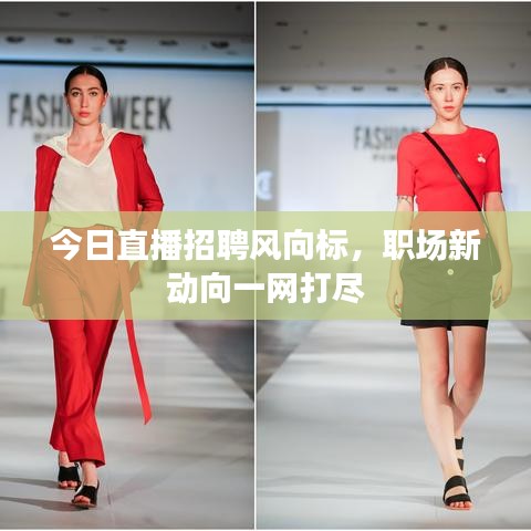 今日直播招聘風(fēng)向標(biāo)，職場新動向一網(wǎng)打盡