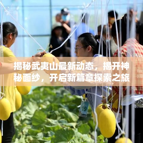 揭秘武夷山最新動態(tài)，揭開神秘面紗，開啟新篇章探索之旅