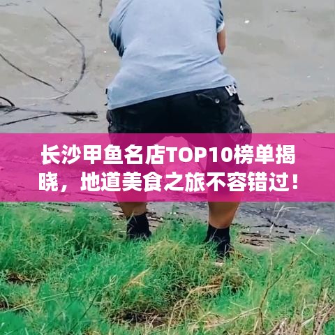 長(zhǎng)沙甲魚名店TOP10榜單揭曉，地道美食之旅不容錯(cuò)過(guò)！