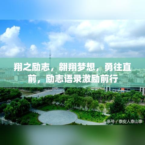 翔之勵(lì)志，翱翔夢(mèng)想，勇往直前，勵(lì)志語(yǔ)錄激勵(lì)前行